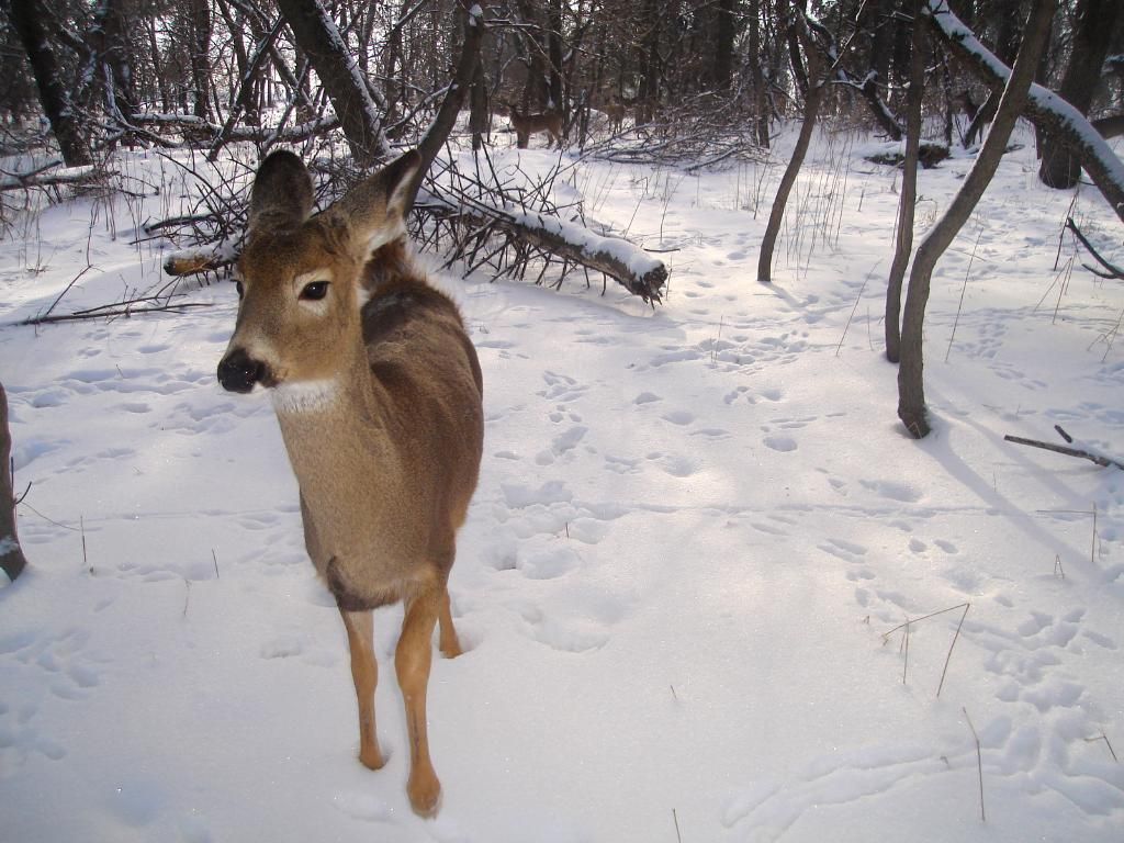 Beverlyseast12-18-201026.jpg