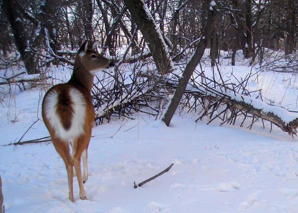 Beverlyseast12-18-201047.jpg