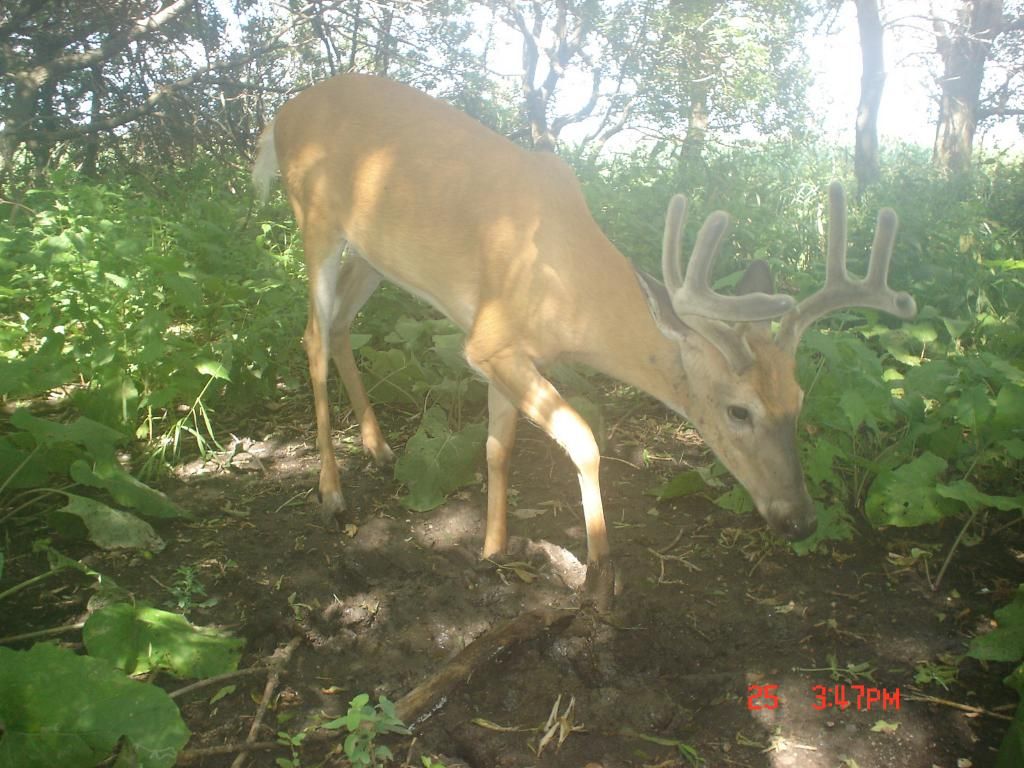 DewittsS07-28-1030.jpg