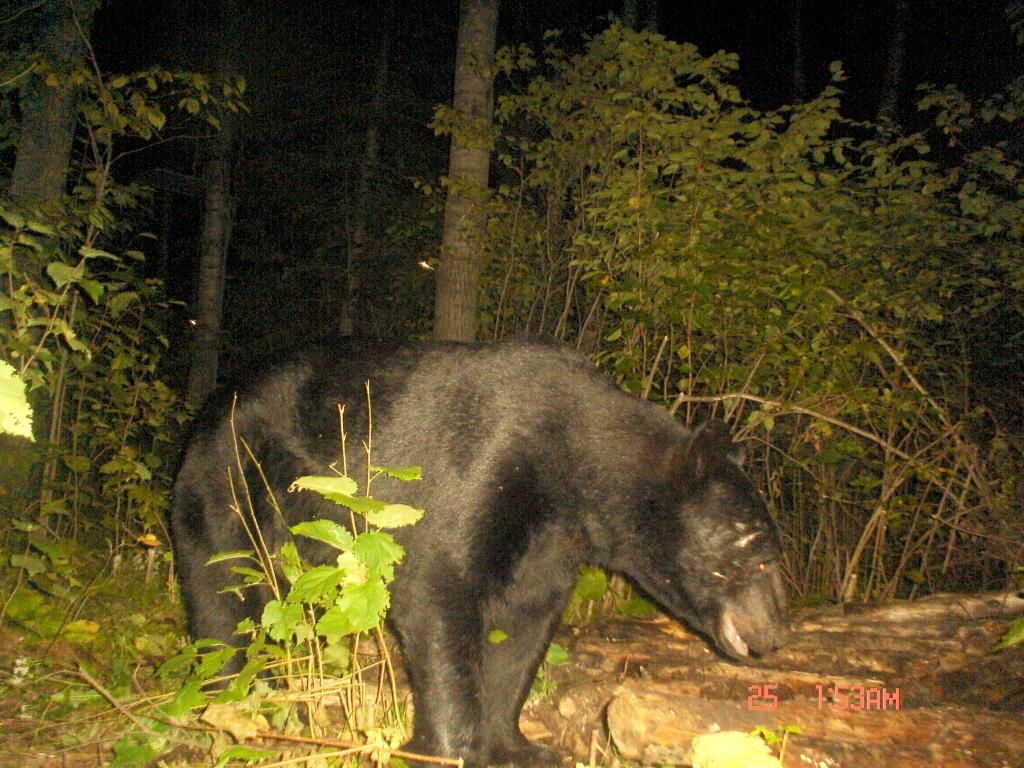 ENDOFROAD08-28201041.jpg