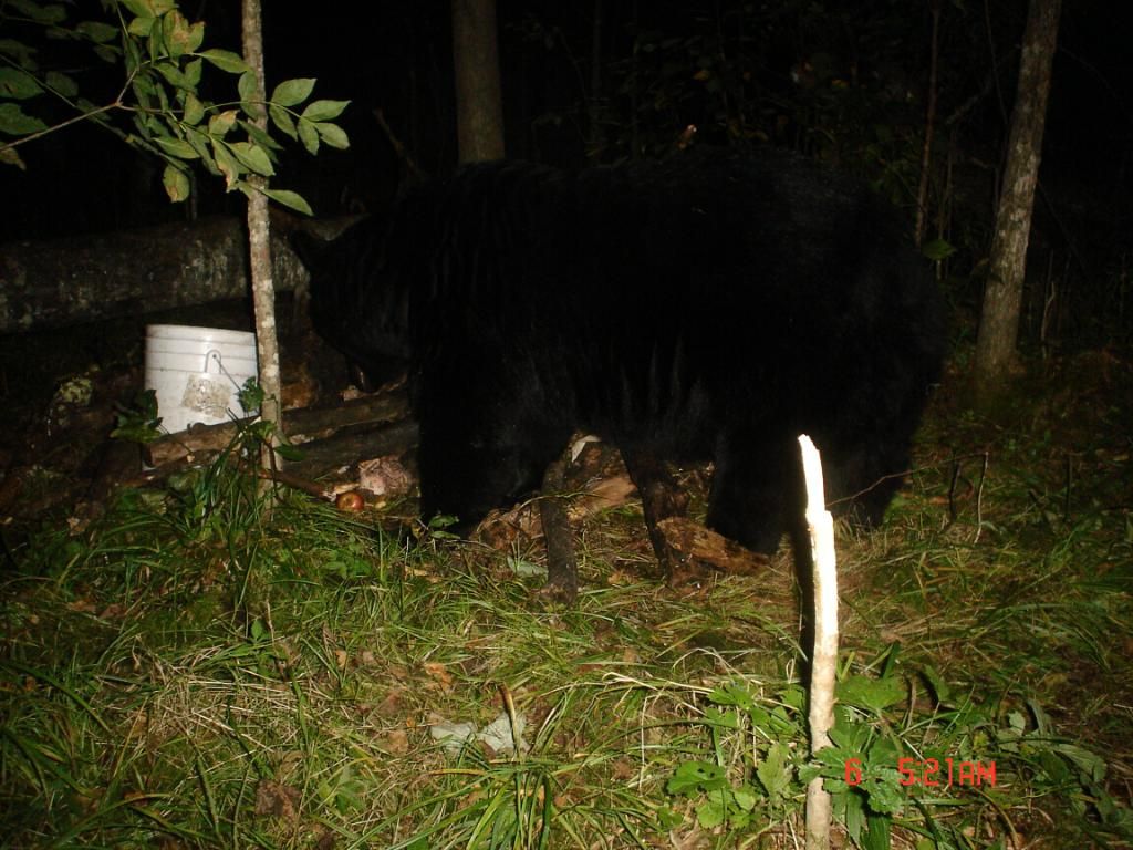 NTF09-06-201020.jpg