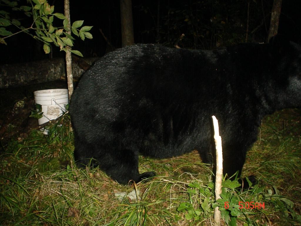 NTF09-06-20104.jpg