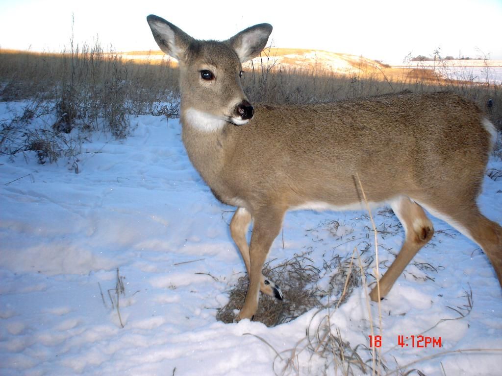 Stuarts412-22-20103.jpg