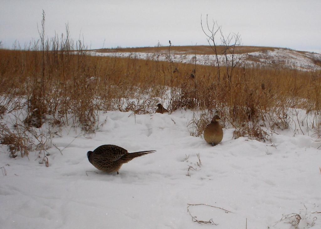 Stuarts412-22-20106.jpg