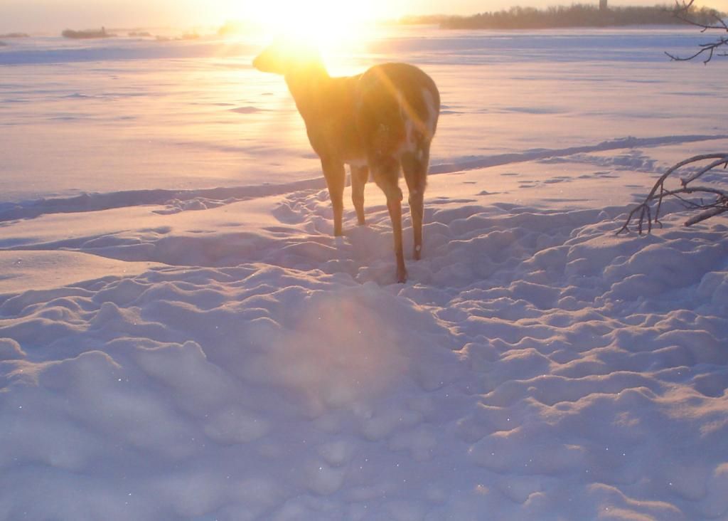 Terrys02-13-1014.jpg