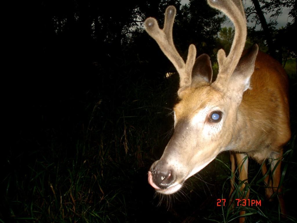 Terrys07-29-1023.jpg