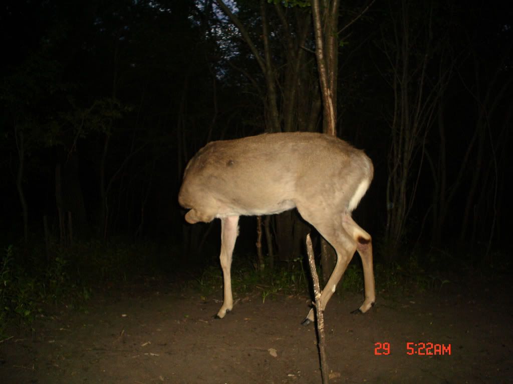 Hole06-04-093.jpg