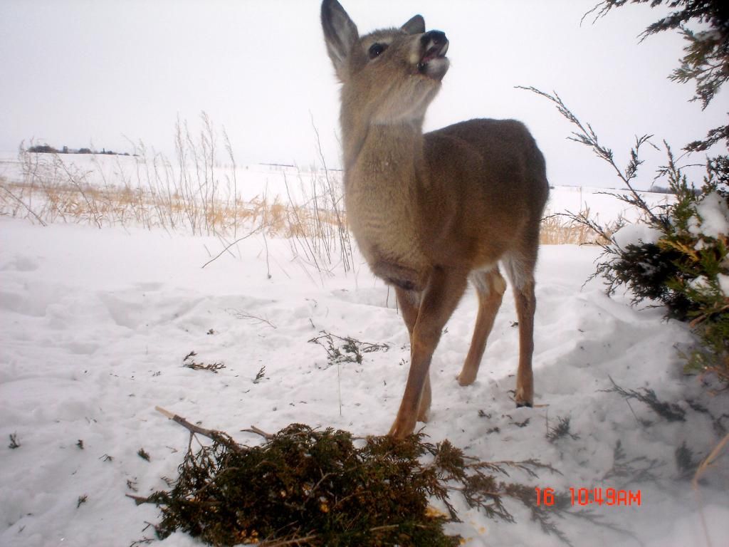 Andys01-23-201131.jpg
