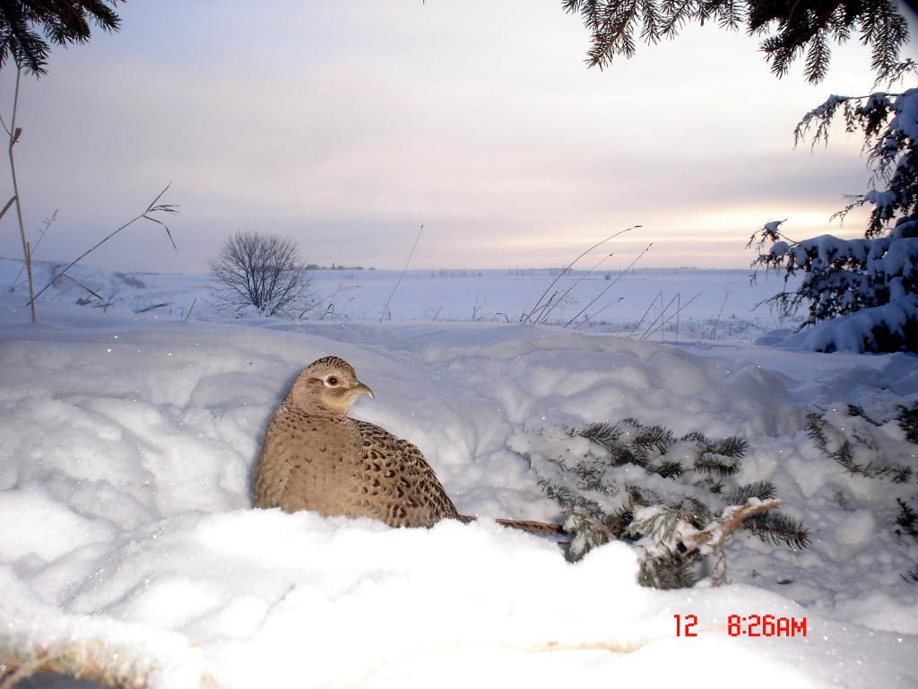 AndysW-01-15-201118.jpg
