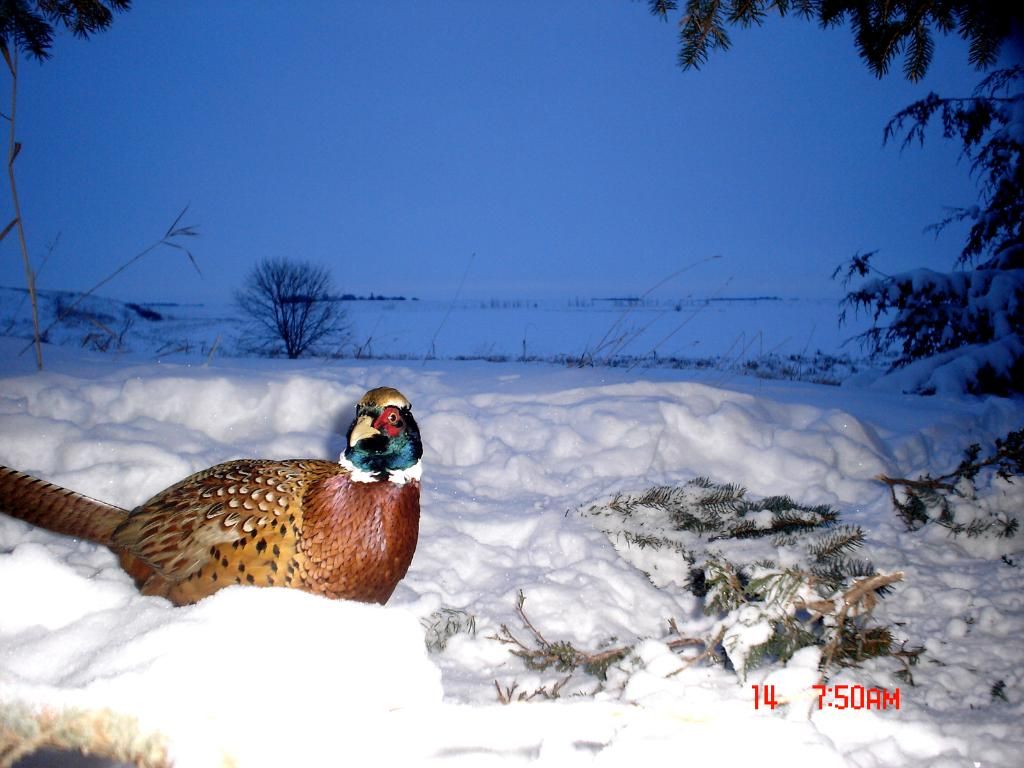 AndysW-01-15-201142.jpg