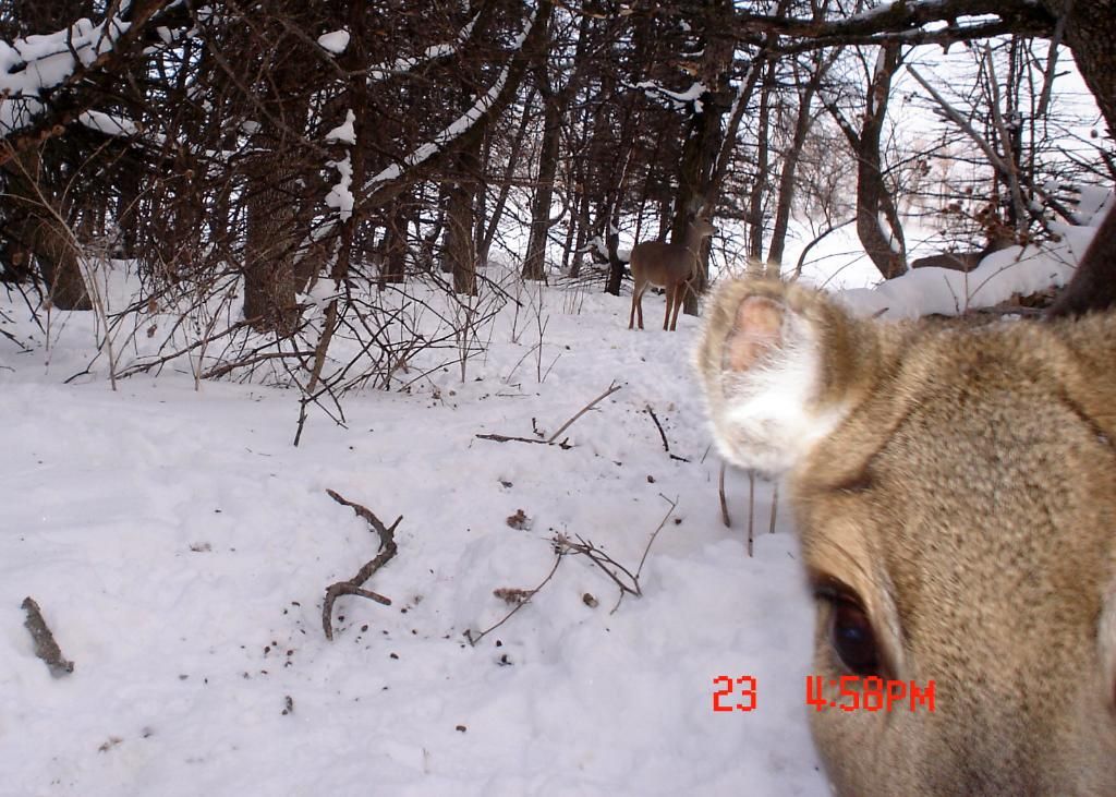 BeverlysN01-28-20111.jpg