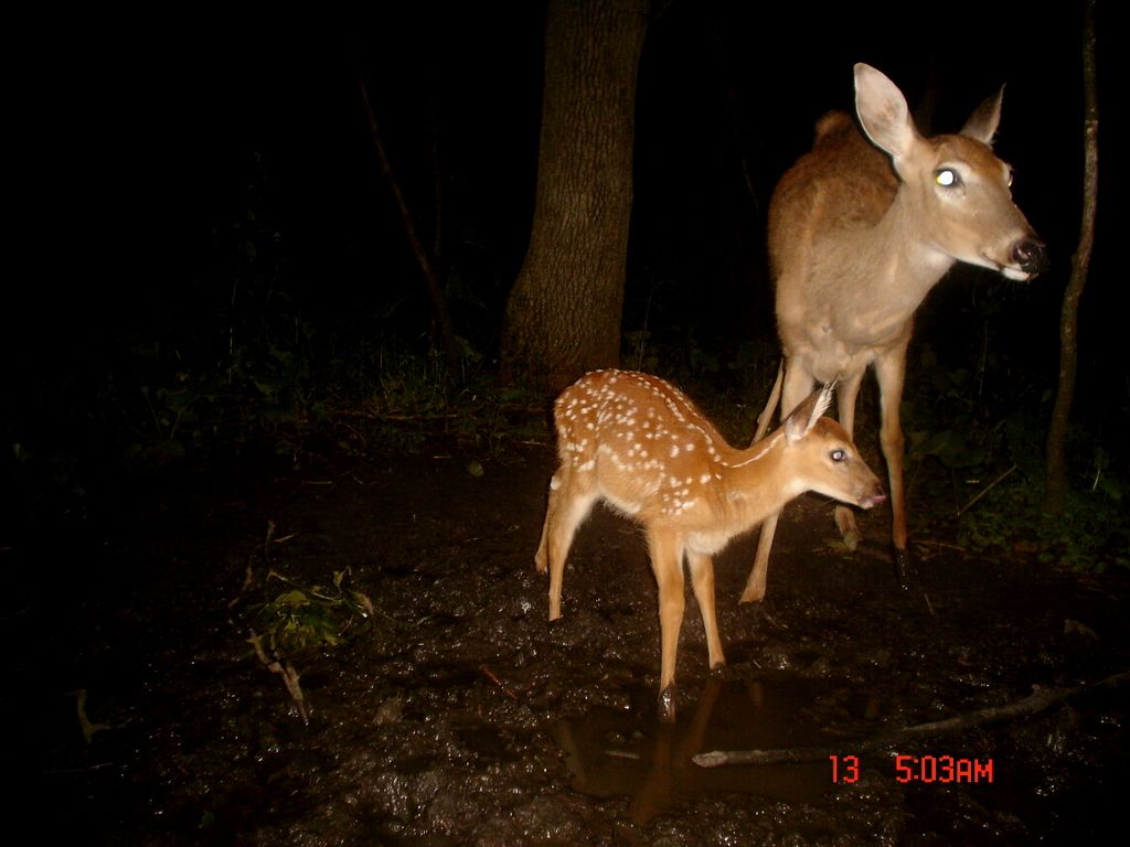 BeverlysN07-16-201115.jpg