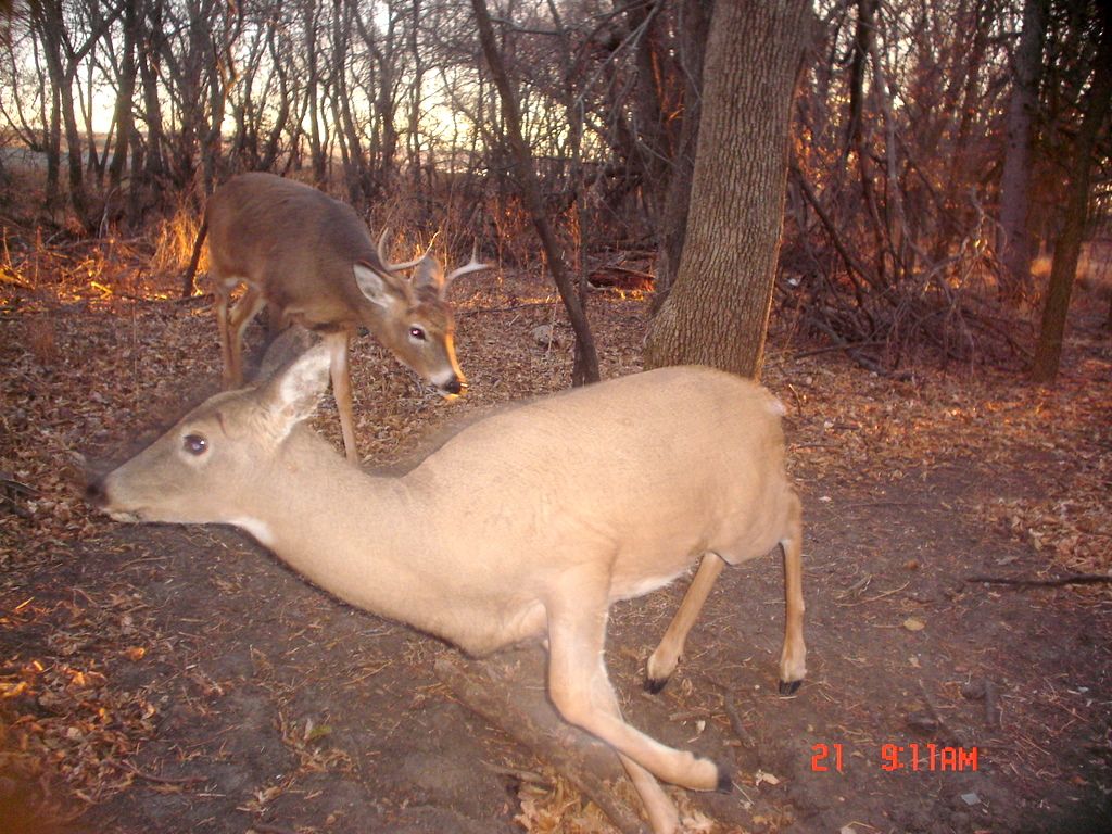 BeverlysN12-26-201120.jpg