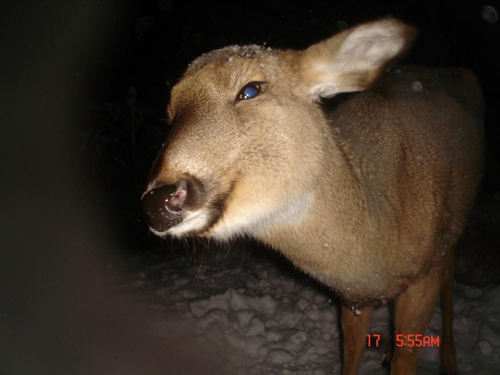 Beverlyswest01-23-201125.jpg