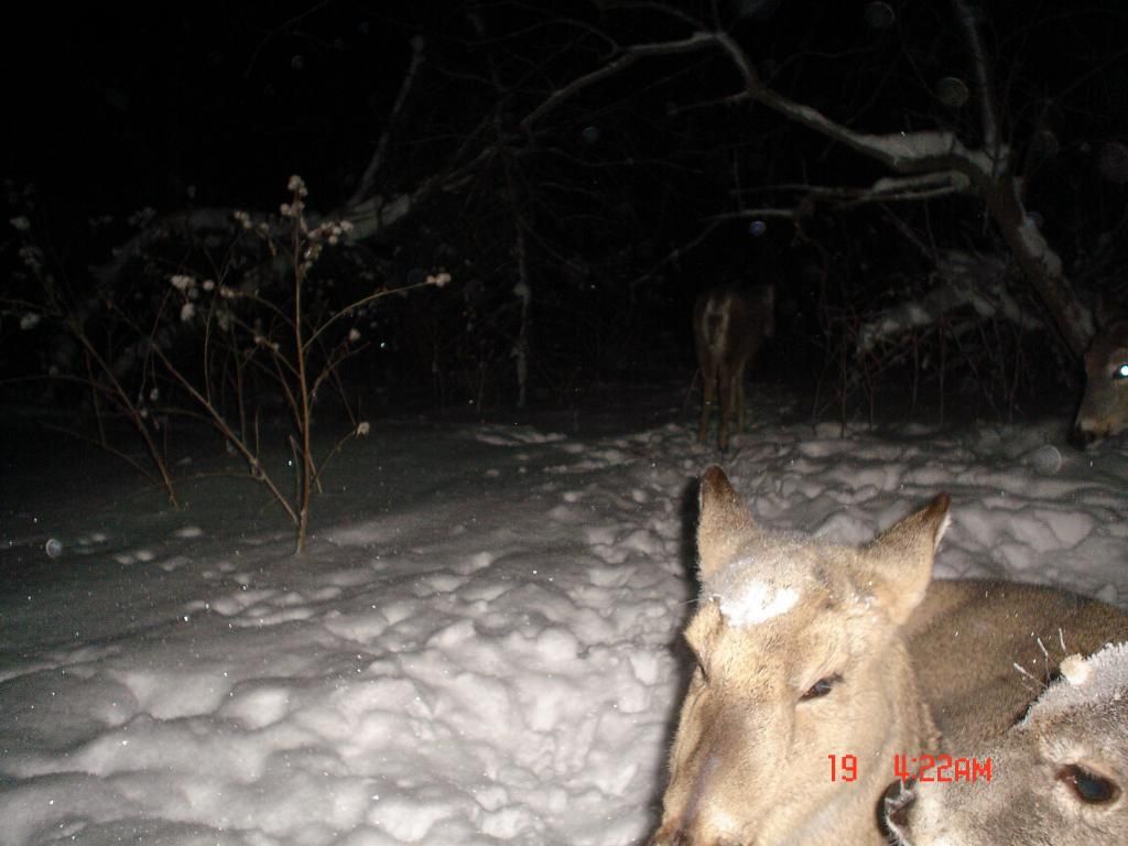 Beverlyswest01-23-201134.jpg