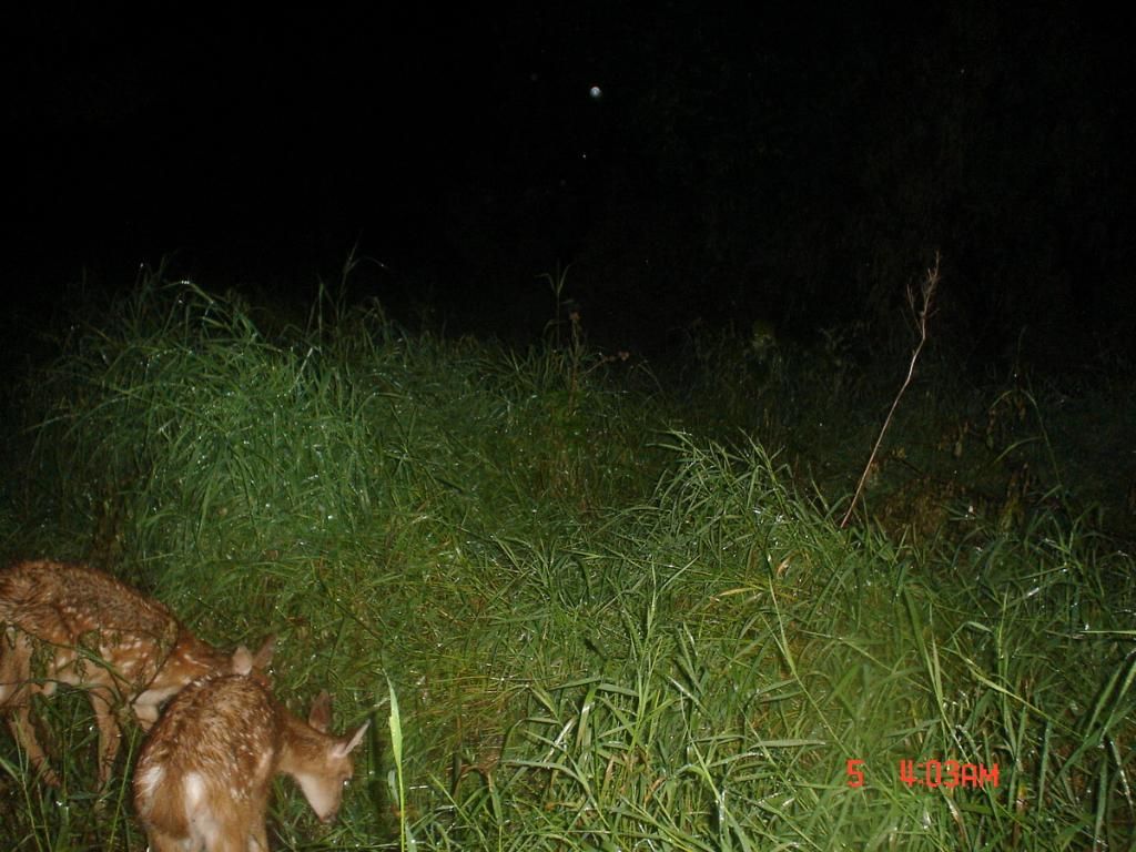 Beverlyswest07-09-201114.jpg