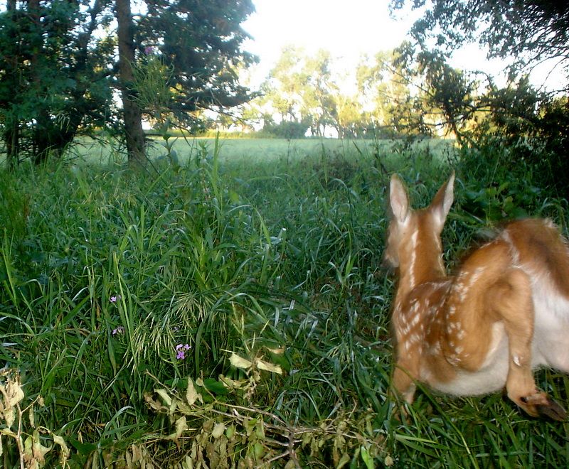 BeverlyswestP4107-04-201144.jpg