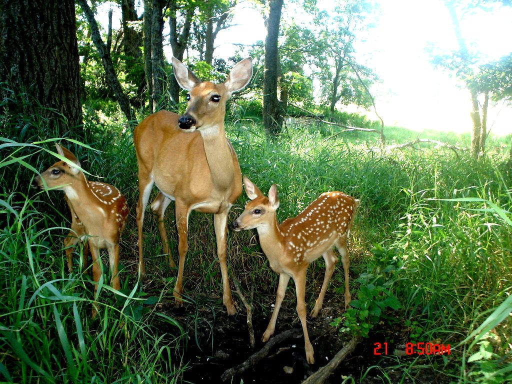 DSC01428-1.jpg