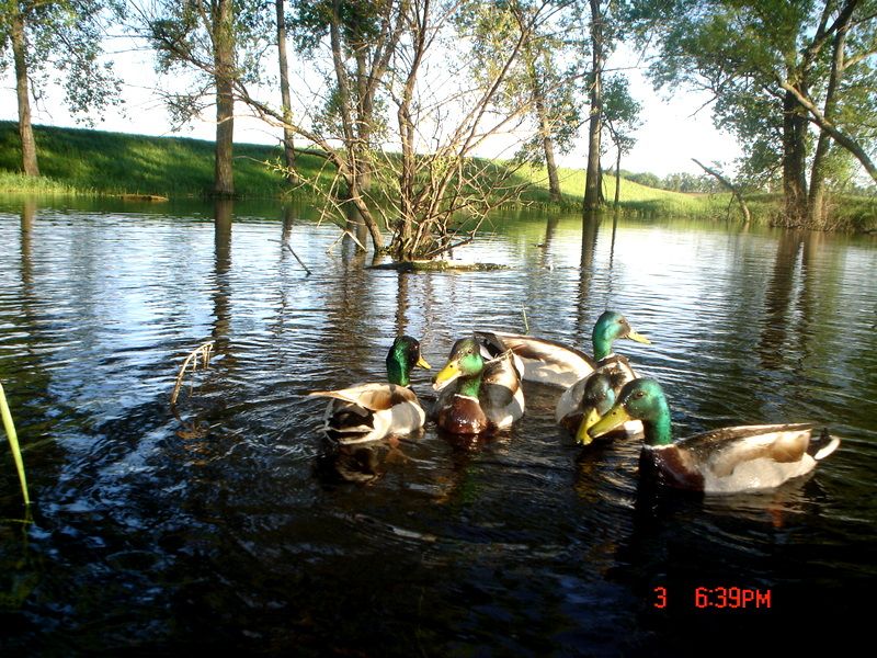 E80June5201156.jpg