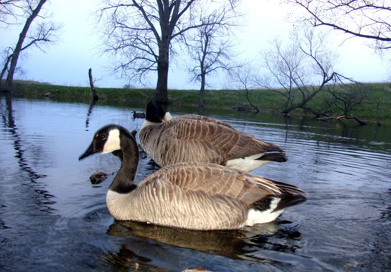 E80W23005-11-201124.jpg