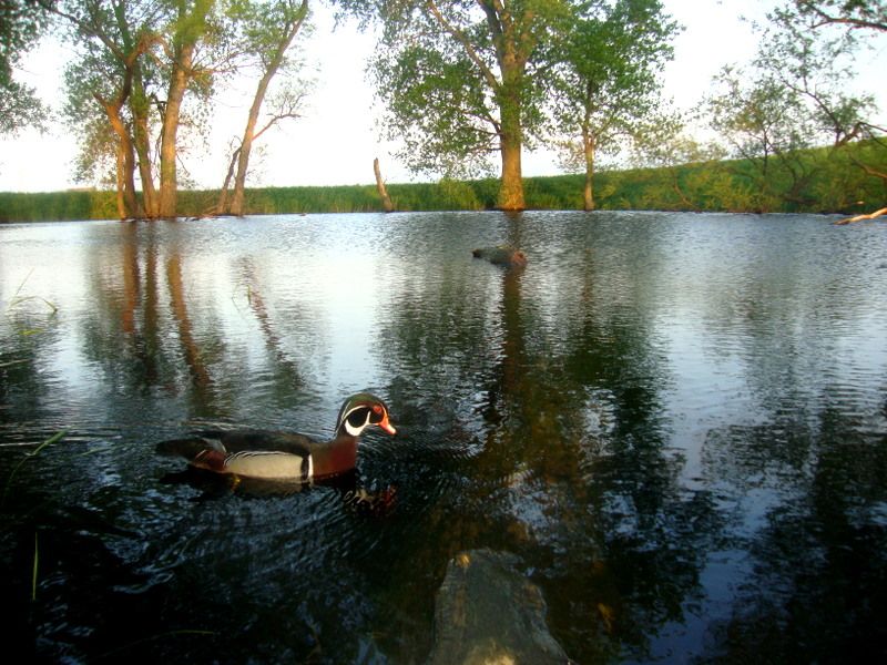 E80W23006-04-2011121.jpg