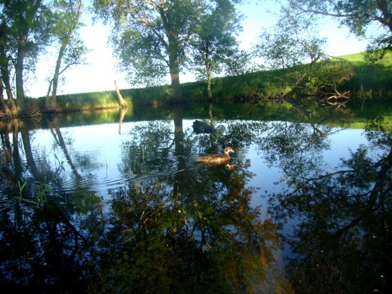 E80june16-201144.jpg