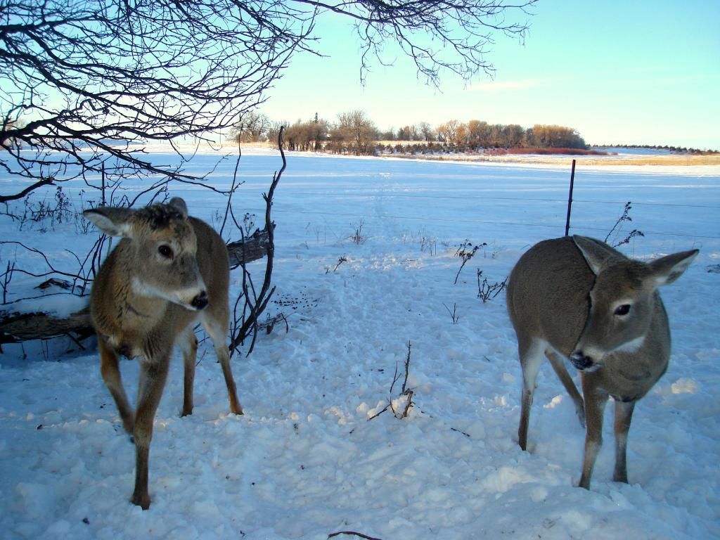 FolkertsN01-06-201187.jpg