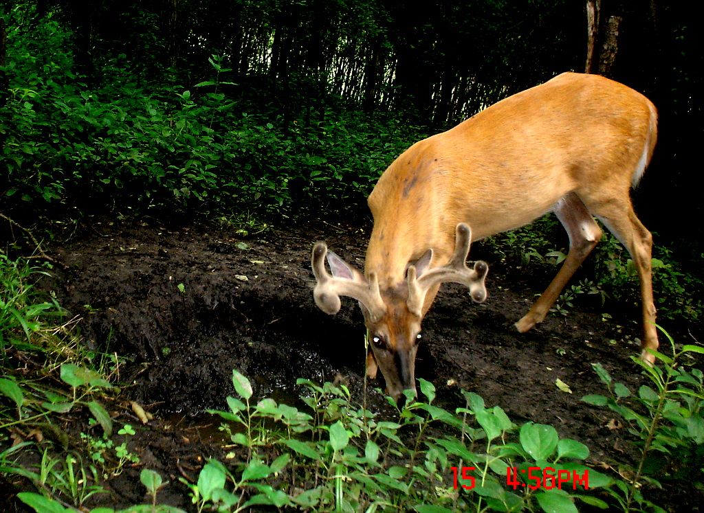 Hole07-22-20115.jpg