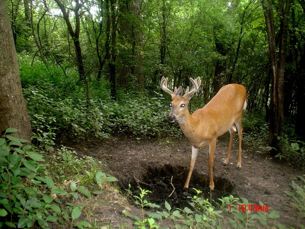 Hole08-02-201130.jpg