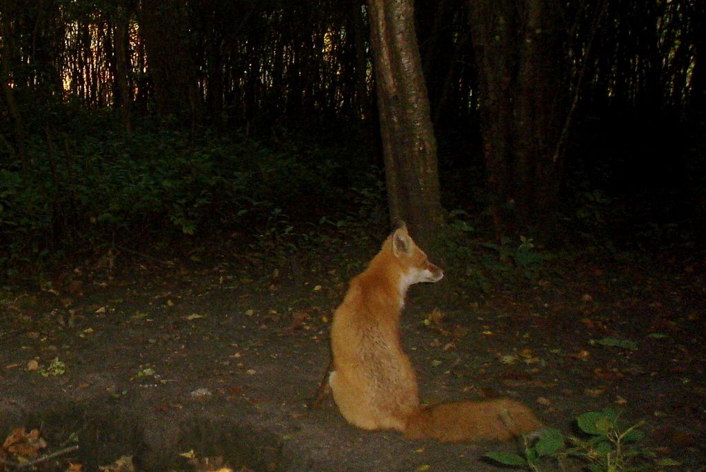 Hole09-30-201141.jpg