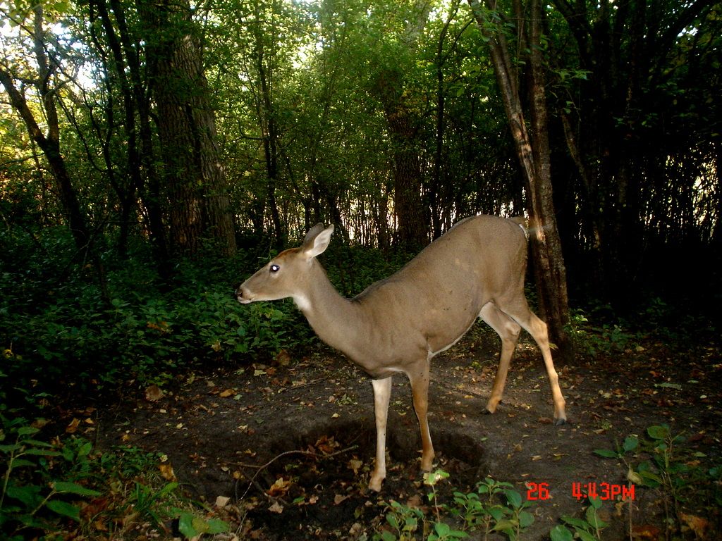 Hole09-30-201149.jpg