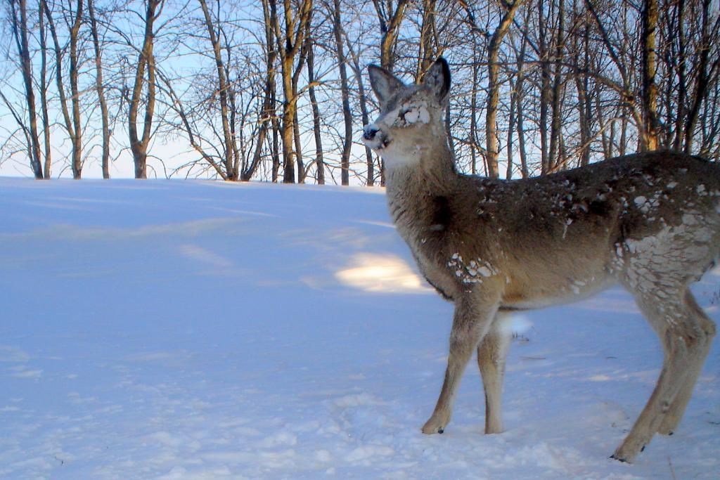Howards02-26-201140.jpg