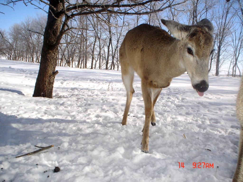 HowardsEast03-19-20115.jpg