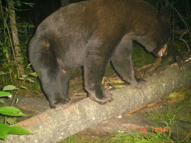 NTF08-26-201185.jpg