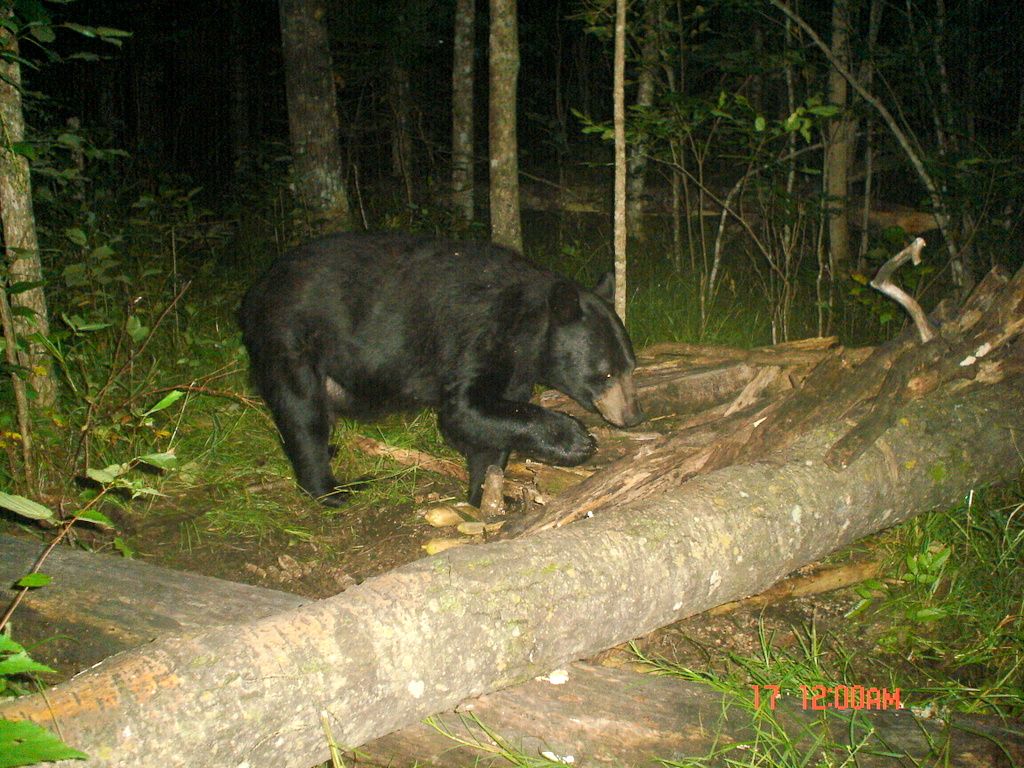 NTFoldAug20-201119.jpg