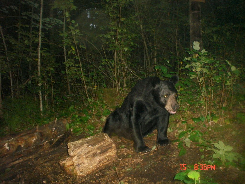 Raderrdoldaug20-201139.jpg