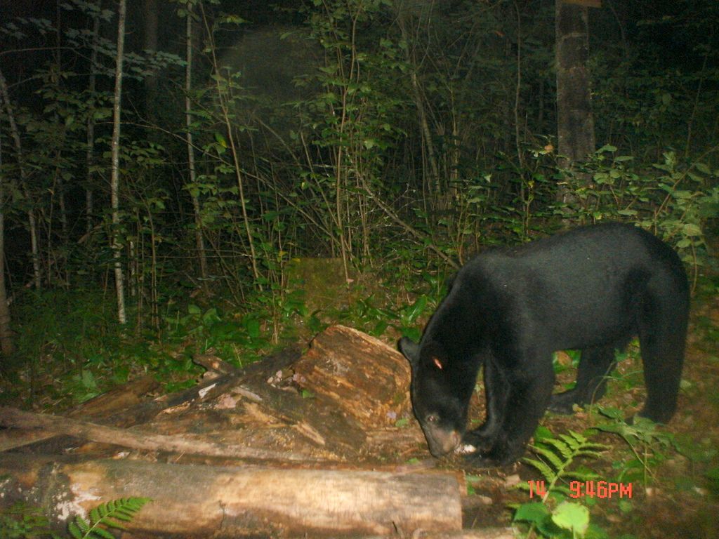 Raderrdoldaug20-20117.jpg