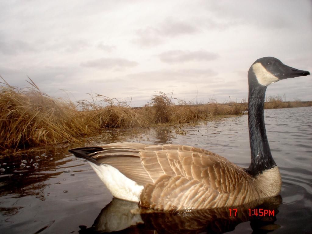 Ryanspond04-18-201148.jpg