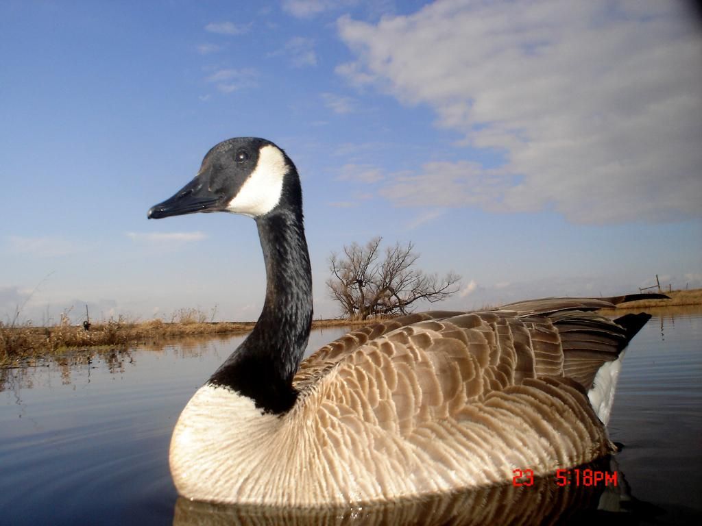 RyanspondS04-28-20111.jpg