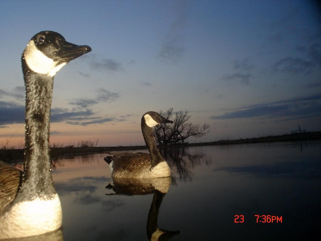 RyanspondS04-28-201113.jpg