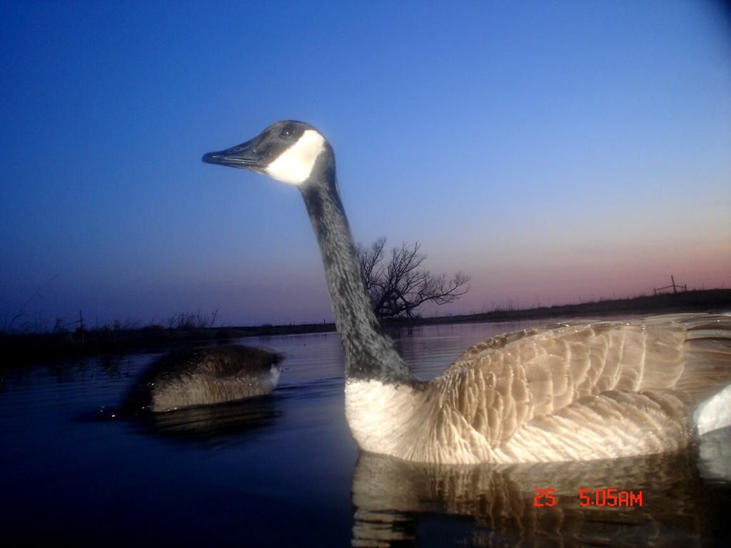 RyanspondS04-28-201129.jpg