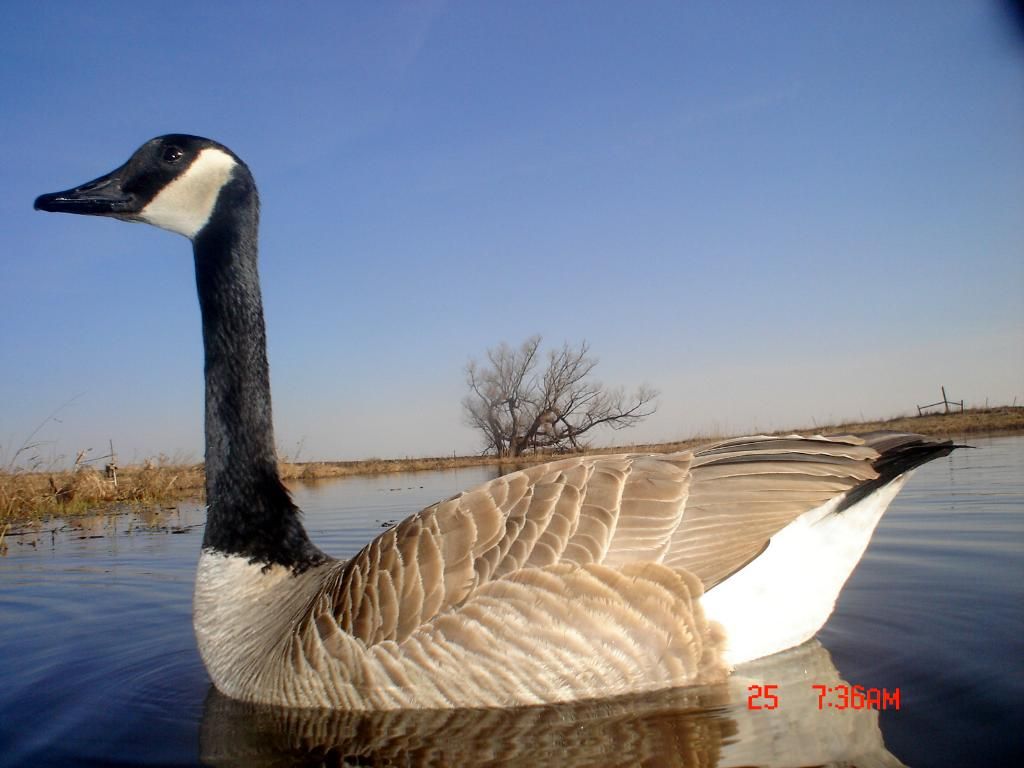 RyanspondS04-28-201133.jpg