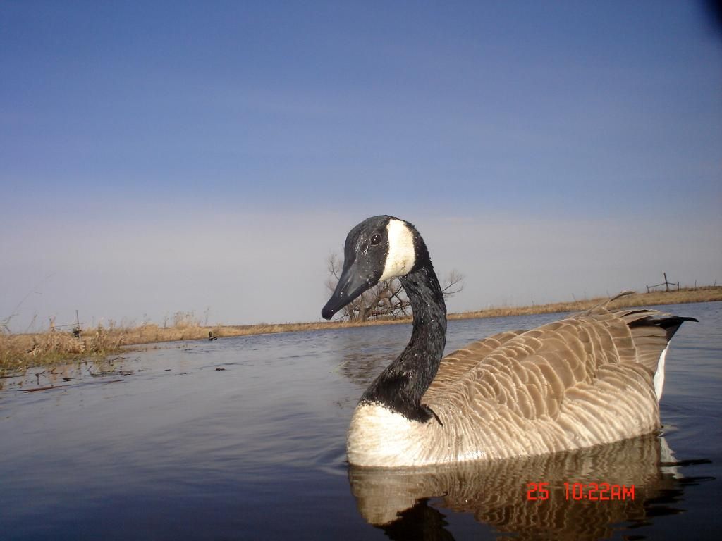 RyanspondS04-28-201139.jpg