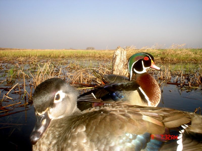 RyanspondS60005-10-2011237.jpg