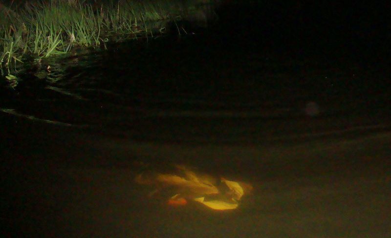 RyanspondW23005-19-2011204.jpg