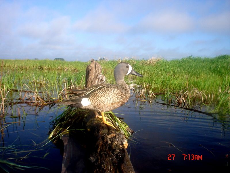 Ryanspondp4105-30-2011171.jpg