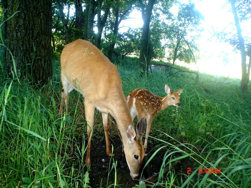 Terrys07-04-2011115.jpg