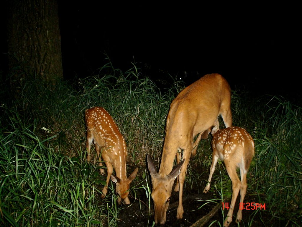 Terrys07-16-201123.jpg