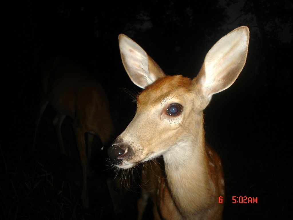 Terrys08-06-2011200.jpg