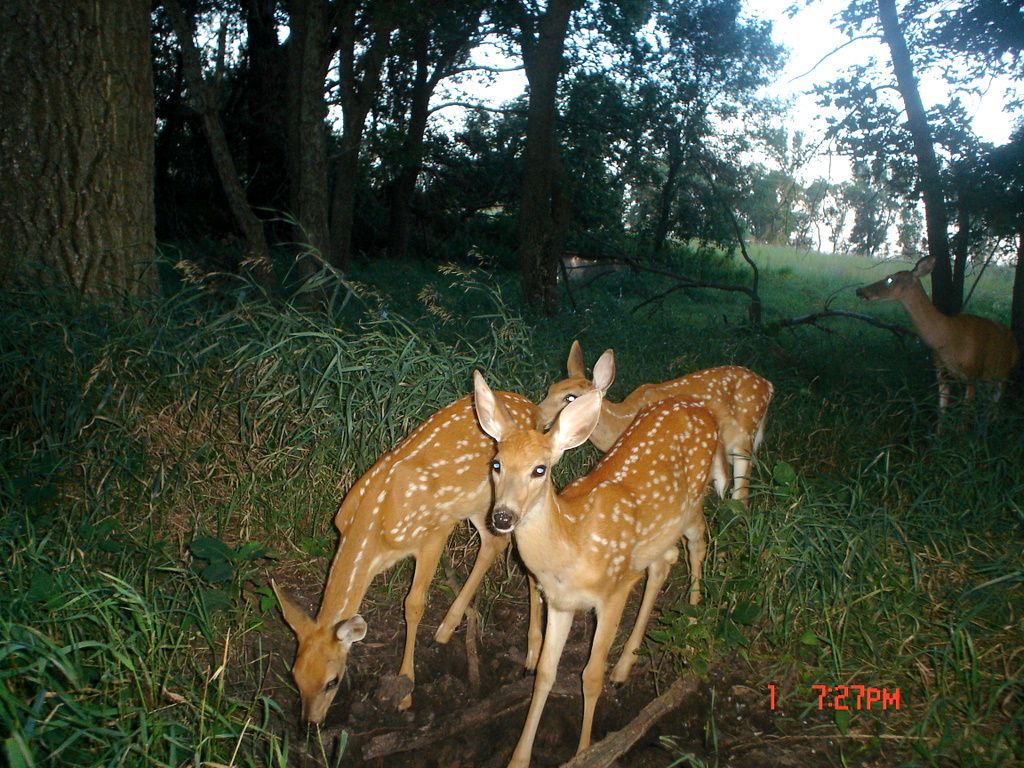 Terrys08-06-201133.jpg
